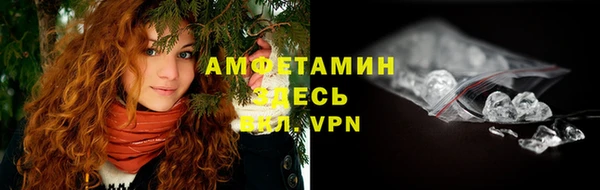прущие грибы Бронницы
