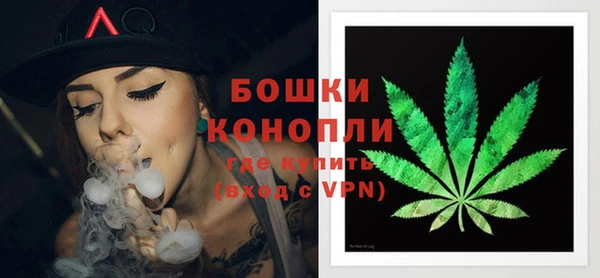 стаф Бородино