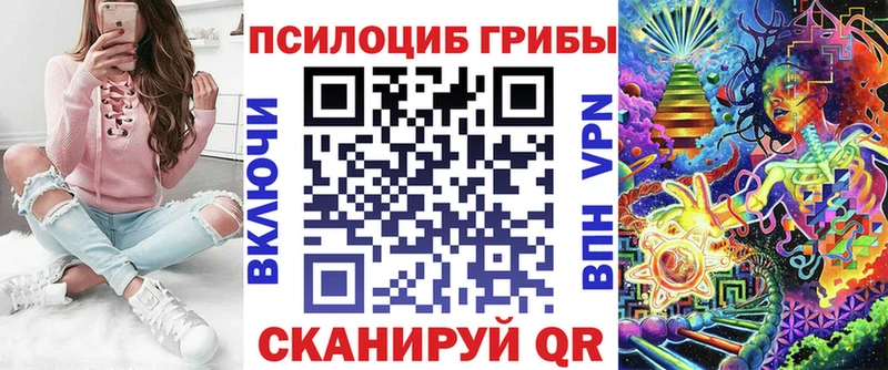 наркота  Купино  Псилоцибиновые грибы Psilocybine cubensis 